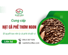 Cung cấp hạt cà phê thơm ngon - Bí quyết tạo nên ly cà phê chuẩn vị