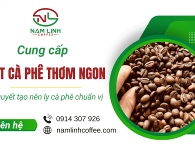 Cung cấp hạt cà phê thơm ngon - Bí quyết tạo nên ly cà phê chuẩn vị